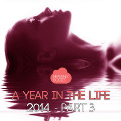 Gotta Love (Shane D Remix) [feat. Tamaru]