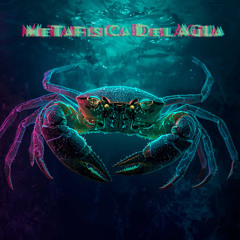 MoisesMx6 - Metafísica del Agua