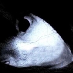 pants off w/snuffriend