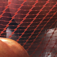 norge i rødt/hvitt/hoppeslott