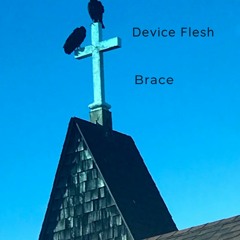 Brace