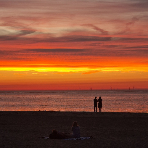 Scheveningen - Zee en Wind