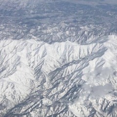 Portal Of Schizophrenia