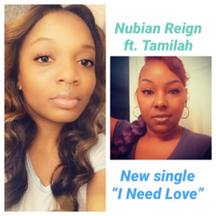 I Need Love (feat. Tamilah)