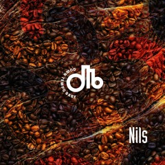 NILS  / downtempo, baby! / # 11