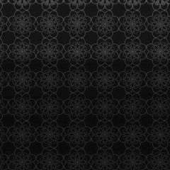 Hydraulic Freqz & Hucy  - Backbone