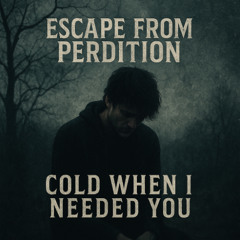 Cold When I Needed You