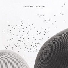 PREMIÈRE: Haider Uppal - Weak Sleep (Thomas Stieler "Birds in Space" Remix)