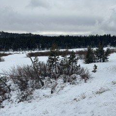 middy titty 808s - prodsims