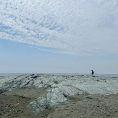 Hey Driver (Zach Bryan cover)