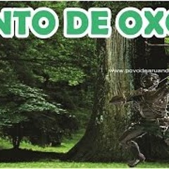 Ponto de Oxóssi - "Foi Zambi que criou o mundo"