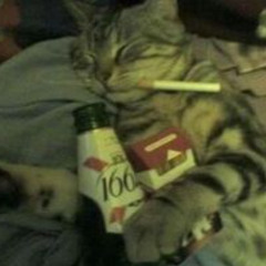 ON S'LA TUE SOUS VALIUM !! 😵‍💫 /feat @lepsychiatre #hyperpop