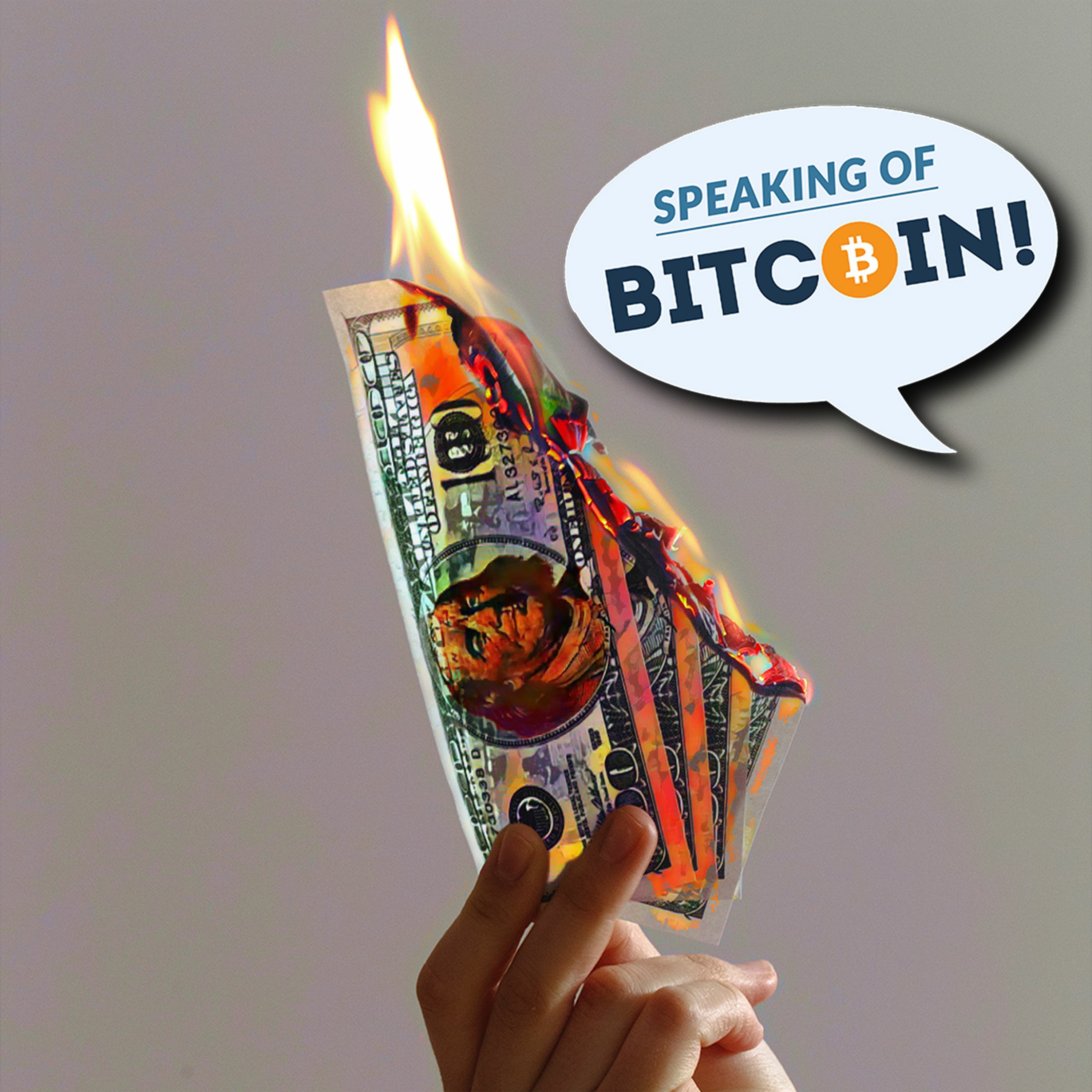 SOB #463 - Dogecoin, Crack-up Booms and the Modern Mania
