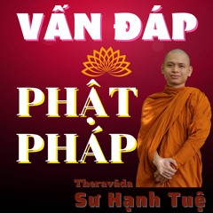 Vấn Đáp Phật Pháp Ngày 30 11 2021 - Sư Hạnh Tuệ