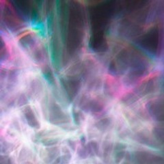 Hollow Woods of Przeborowo