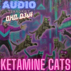 Feline Ketamine