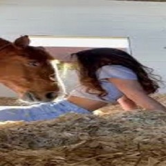 Music tracks, songs, playlists tagged horsegirlviralvideo on ...