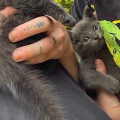 It ain’t even music no more (prod.cresncta)