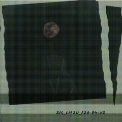 ZIG LIE2U FREESTYLE V2 PROD. SWOOZYDOLPHIN