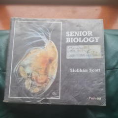 School (Poem and Notes)