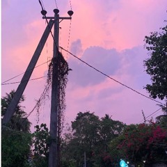 Part 7: Train from Colombo to Kandy (10.04.24)