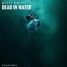 Nitti Gritti - Dead In The Water (DVYAM remix)