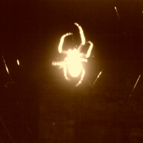 Minimalistic Repetitive Improvisation