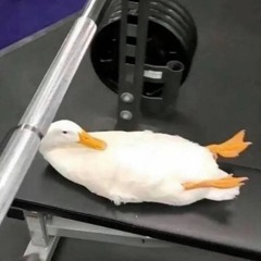 techno that makes you yearn for a warehouse rave