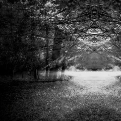 Père Castor Ft. 3-6 ⁵ ¹ ³