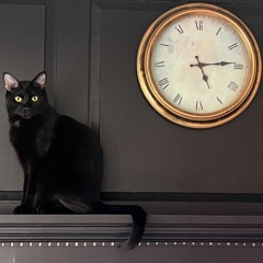 Black Cat - Janet Jackson Remix