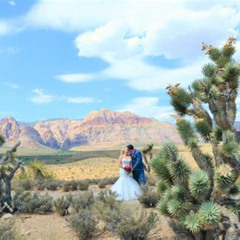 Review Special Price Red Rock Canyon Wedding By Private Limousine
