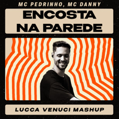 Encosta na Parede - MC Danny, Mc Pedrinho (Lucca Venuci Remix)