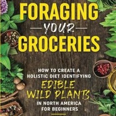 🍛EPUB [eBook] Foraging your Groceries How to create a holistic diet identifying edib 🍛