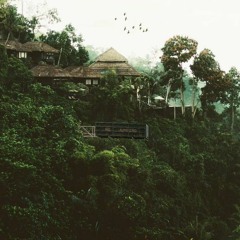 Water, Fall - OLY (Audio)