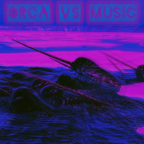 Narwhal