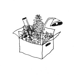 Baby Leaf - Multi-Buy Offer