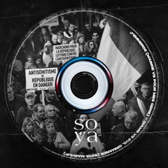 J'emmerde - Marine vs Pour Mes Gens (Soya Mashup) - Diams vs EVIL GRIMACE