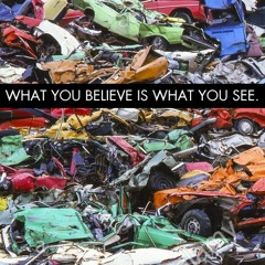 What You Believe Is What You See