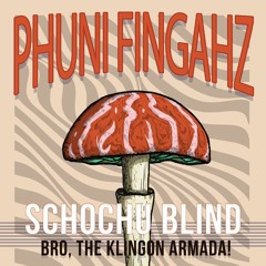Shochu Blind: Bro, The Klingon Armada! as Phuni Fingahz for the "Feeling Mean" EP