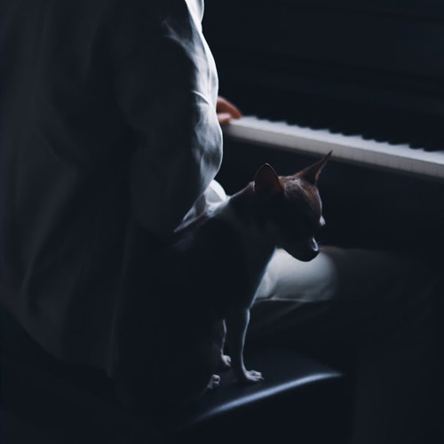 Idea 22 (Slowed  Reverb)