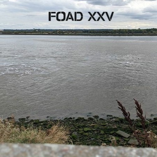 XXV - BOYCEY