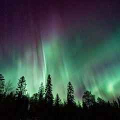 Kaden Koch - "Aurora" (Preview)