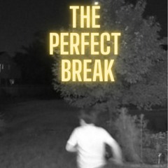 The Perfect Break