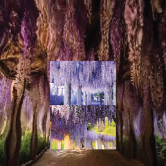 ѕｅ𝔩ƒ Μᵃᗪє 𝐒𝓔𝓃ᔕάⓉ𝐈๏Ⓝ prod. 51five