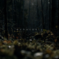 Where Shadows Rest in Light