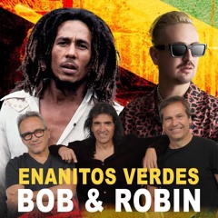 Bob Marley Ft. Robin Schulz, Enanitos Verdes & Danara - Shining Boliviano (The Mashup)