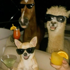 lets get right to it