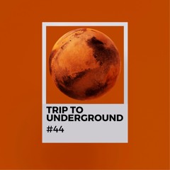 TRIP TO UNDERGROUND 44