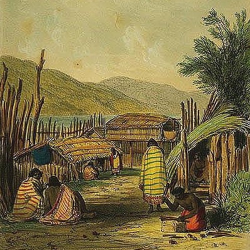 Welcome to the Native - Huiarangi & Tanekaha