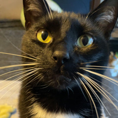 ☆bliss☆ (prod rxsegarden)